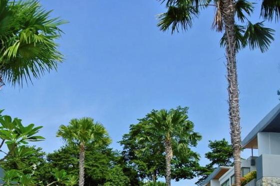 Patong Atika Villas מראה חיצוני תמונה